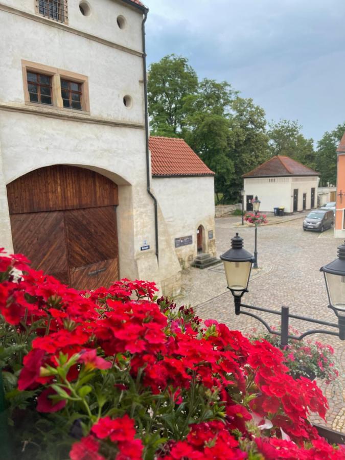 Pension Alt Naumburg Naumburg  Exterior photo